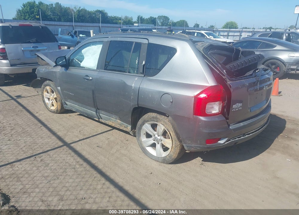 2011 JEEP COMPASS VIN: 1J4NF1FB2BD301801