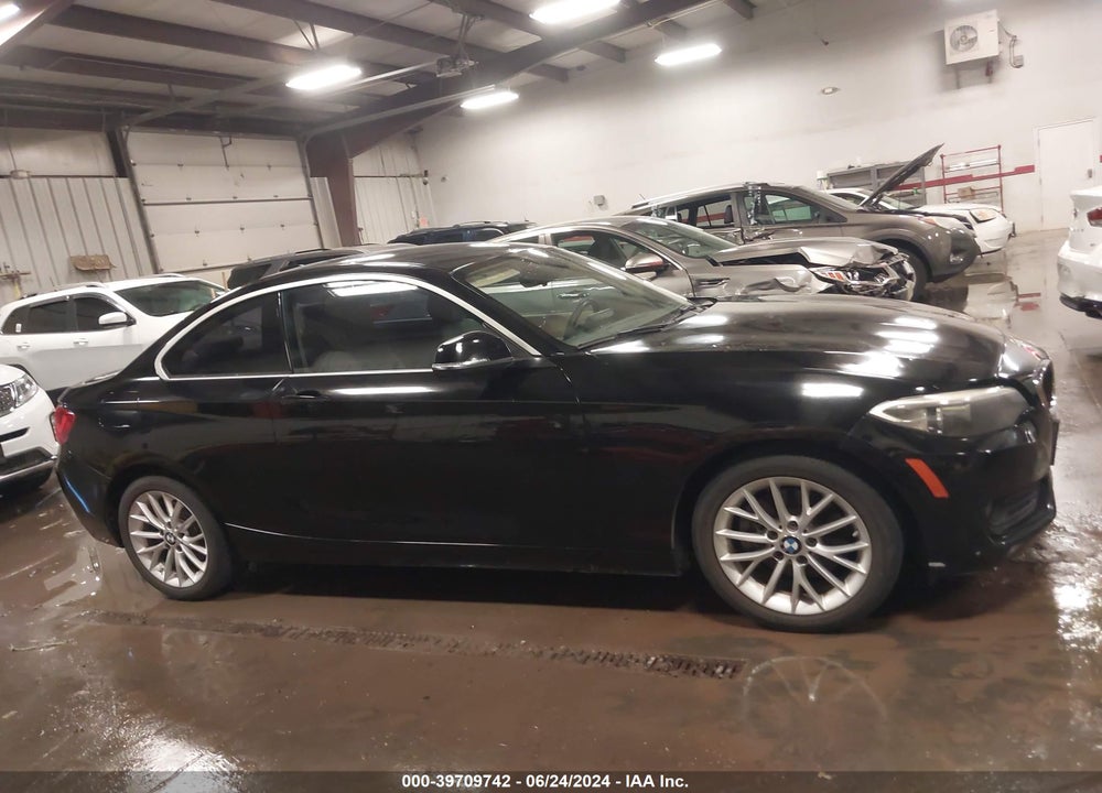 2015 BMW 228I VIN: WBA1F5C59FV257089