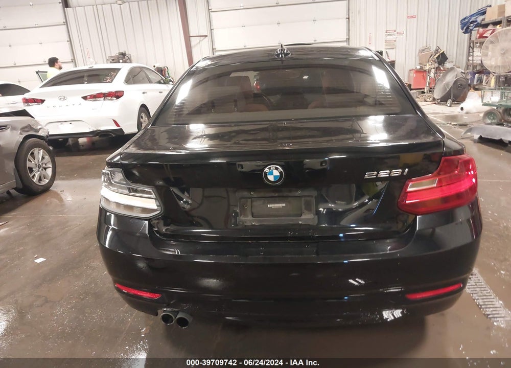 2015 BMW 228I VIN: WBA1F5C59FV257089