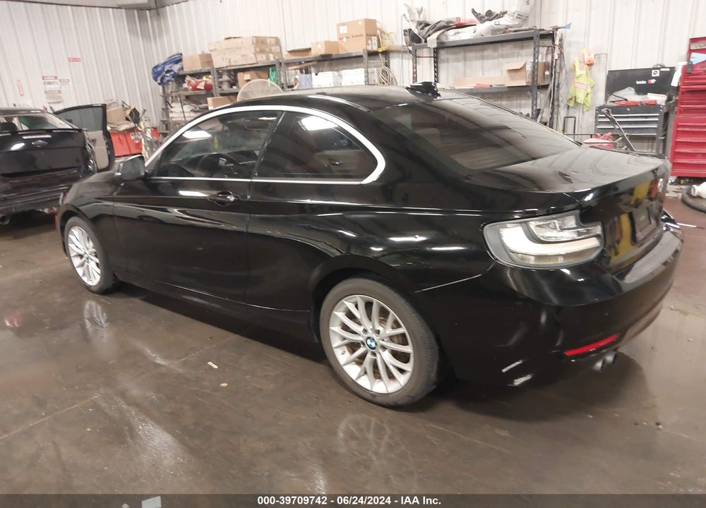 2015 BMW 228I VIN: WBA1F5C59FV257089