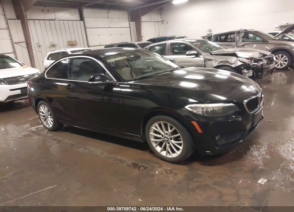 2015 BMW 228I VIN: WBA1F5C59FV257089