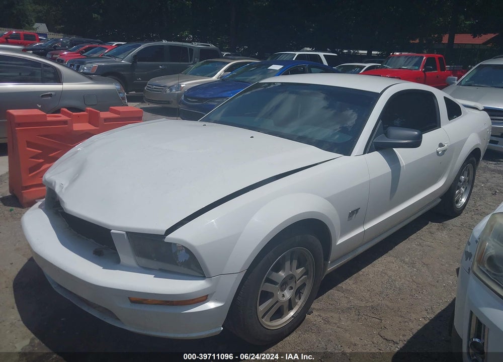 2005 FORD MUSTANG GT DELUXE/GT PREMIUM VIN: 1ZVHT82H255109417