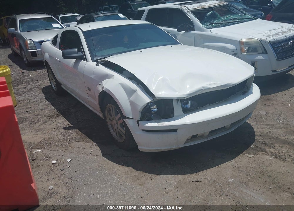 2005 FORD MUSTANG GT DELUXE/GT PREMIUM VIN: 1ZVHT82H255109417