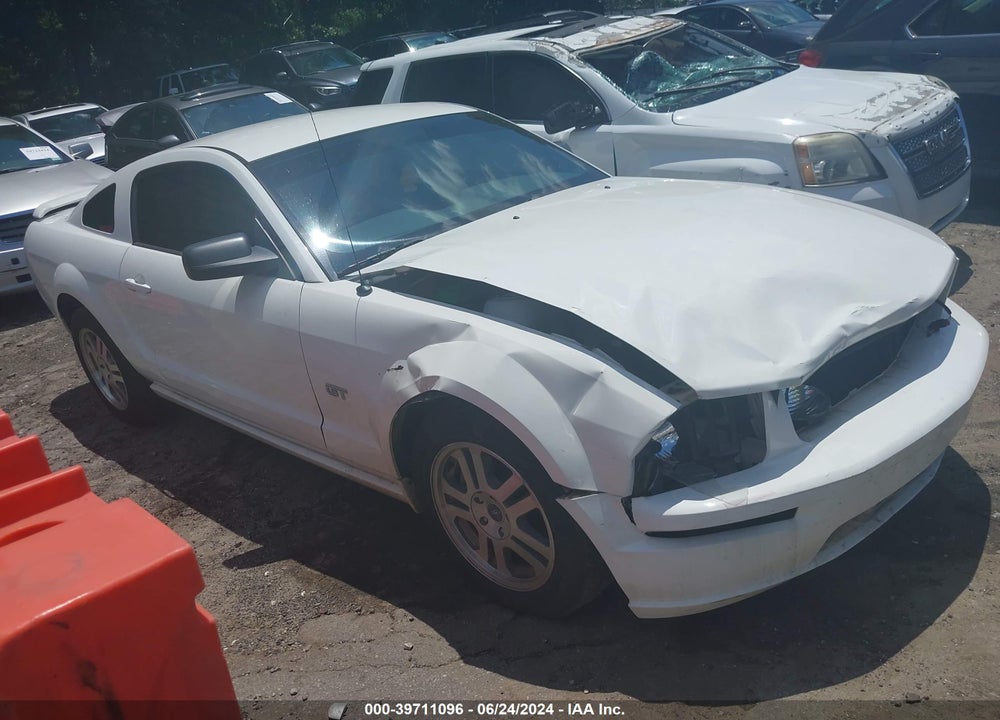 2005 FORD MUSTANG GT DELUXE/GT PREMIUM VIN: 1ZVHT82H255109417