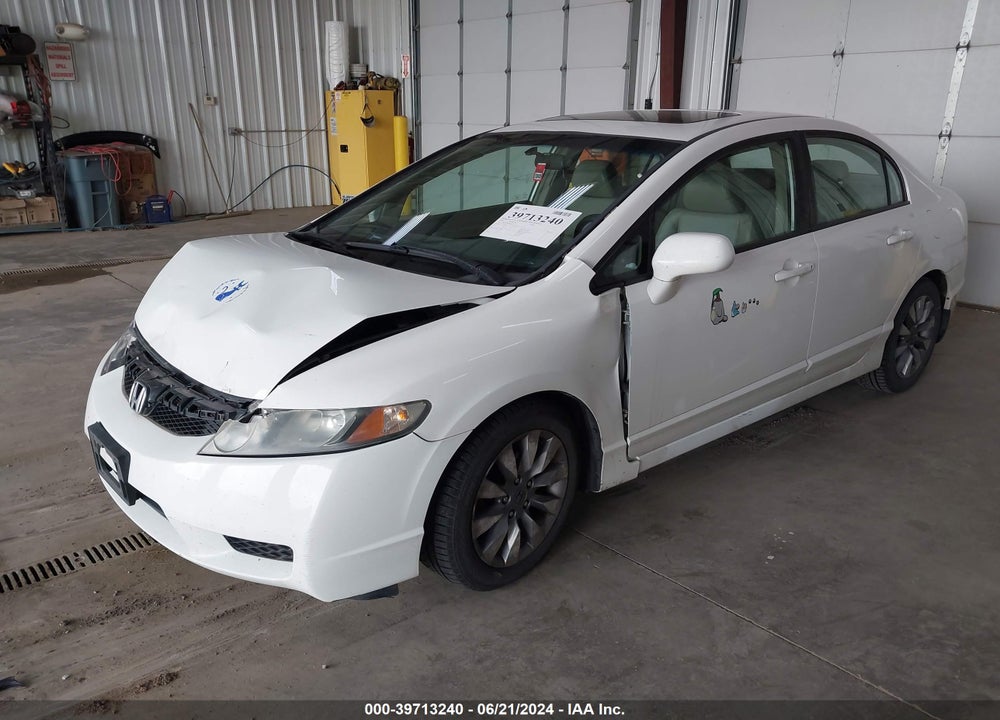 2009 HONDA CIVIC EX-L VIN: 19XFA16909E006355