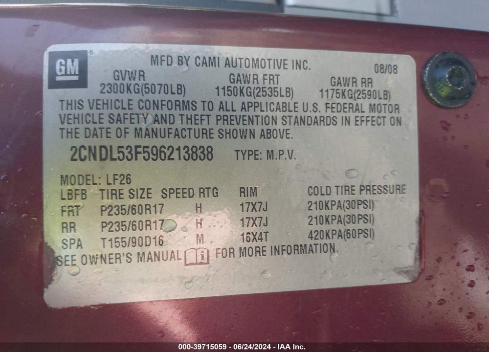 2009 CHEVROLET EQUINOX LT VIN: 2CNDL53F596213838