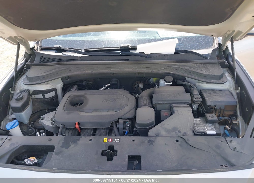 2020 HYUNDAI SANTA FE VIN: 5NMS3CADXLH189313