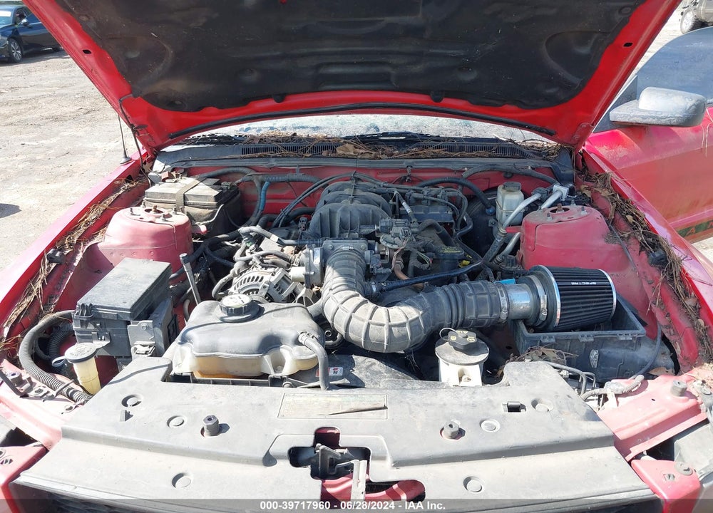2009 FORD MUSTANG V6 VIN: 1ZVHT80N195124988
