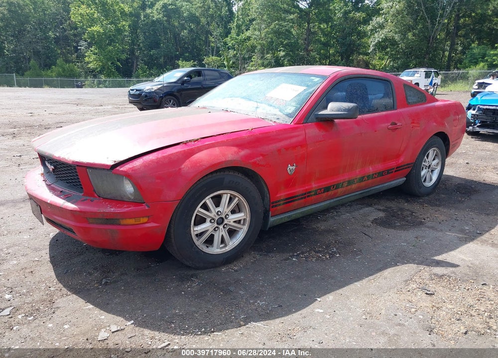2009 FORD MUSTANG V6 VIN: 1ZVHT80N195124988