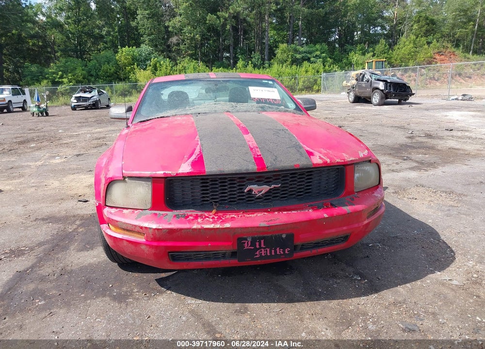 2009 FORD MUSTANG V6 VIN: 1ZVHT80N195124988