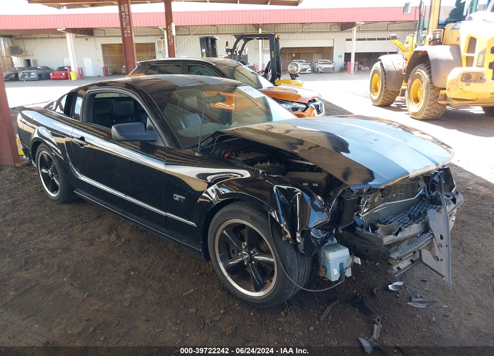 2006 FORD MUSTANG GT VIN: 1ZVFT82H565125359
