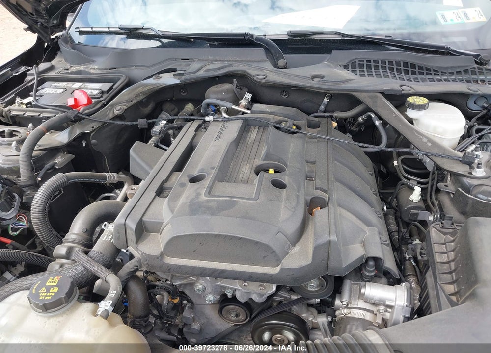 2019 FORD MUSTANG ECOBOOST VIN: 1FATP8UH1K5198977
