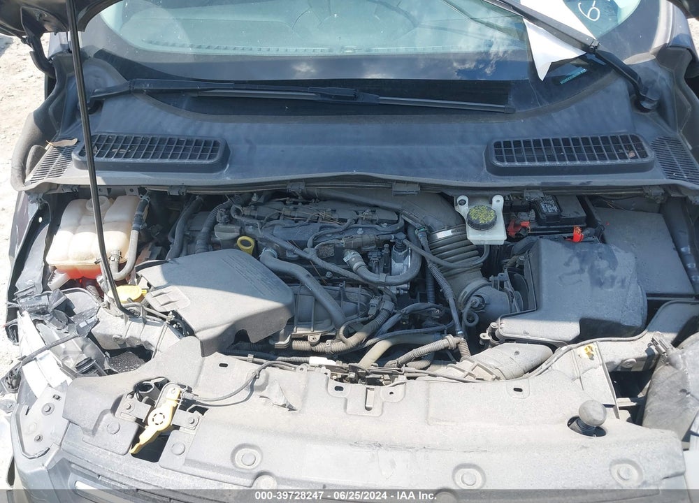 2014 FORD ESCAPE SE VIN: 1FMCU0GX2EUB55598