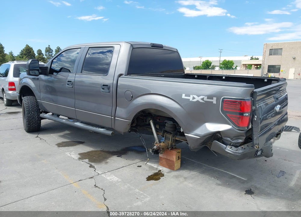 2010 FORD F-150 XL/XLT VIN: 1FTEW1E81AFD81218