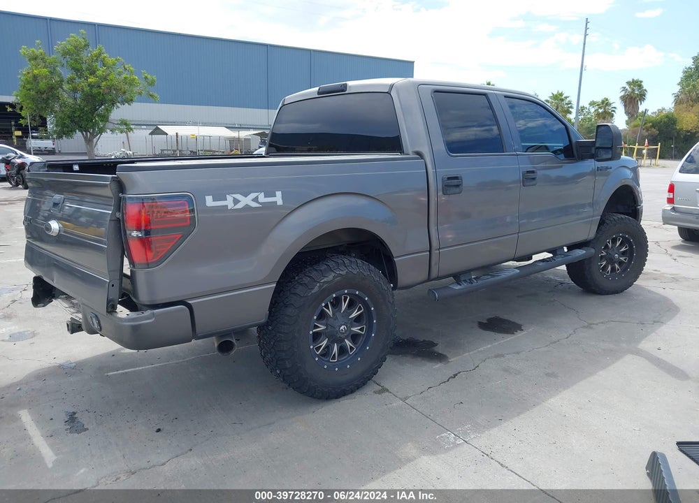 2010 FORD F-150 XL/XLT VIN: 1FTEW1E81AFD81218