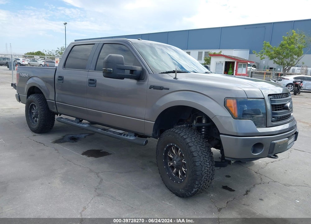 2010 FORD F-150 XL/XLT VIN: 1FTEW1E81AFD81218