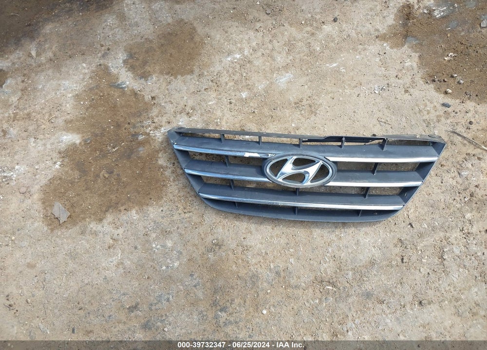 2009 HYUNDAI SONATA GLS VIN: 5NPET46C39H422446
