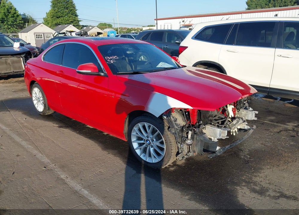 2016 BMW 228I XDRIVE VIN: WBA1G9C5XGV726602