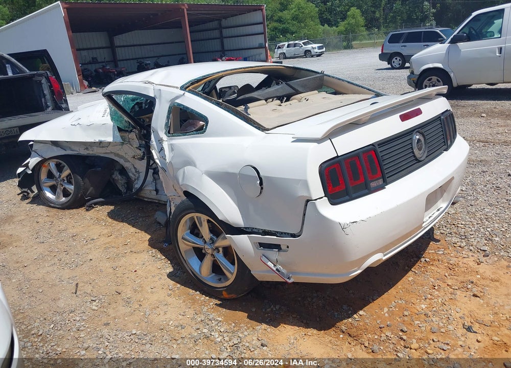 2009 FORD MUSTANG GT/GT PREMIUM VIN: 1ZVHT82HX95110000