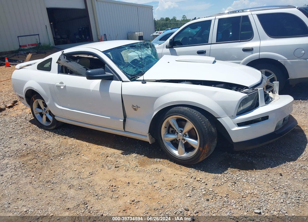 2009 FORD MUSTANG GT/GT PREMIUM VIN: 1ZVHT82HX95110000