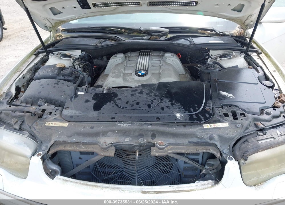 2002 BMW 745LI VIN: WBAGN63442DR07411