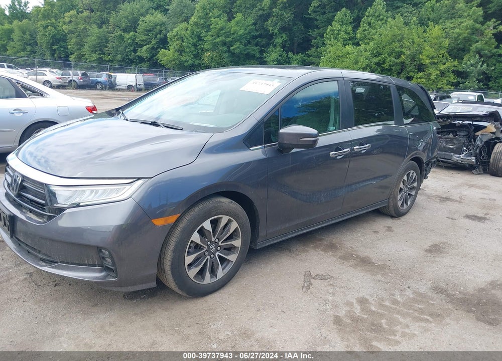 2023 HONDA ODYSSEY EX-L VIN: 5FNRL6H6XPB032086
