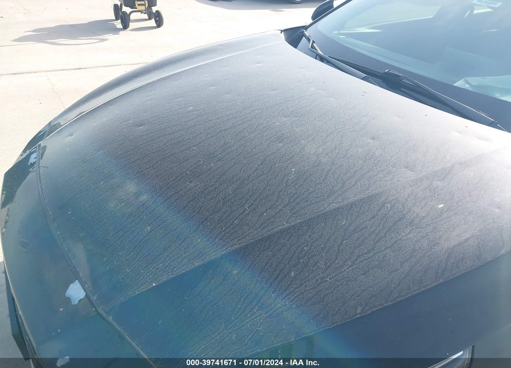 2019 NISSAN ALTIMA 2.5 SL VIN: 1N4BL4EVXKC207157