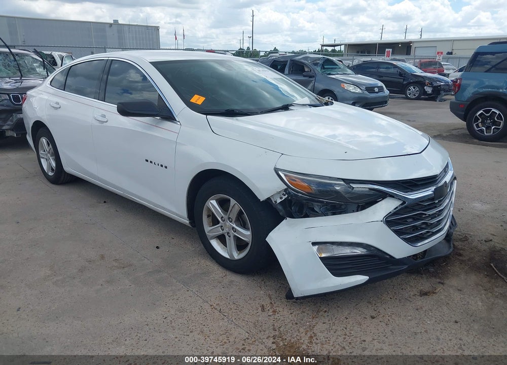 2019 CHEVROLET MALIBU VIN: 1G1ZB5ST5KF223956