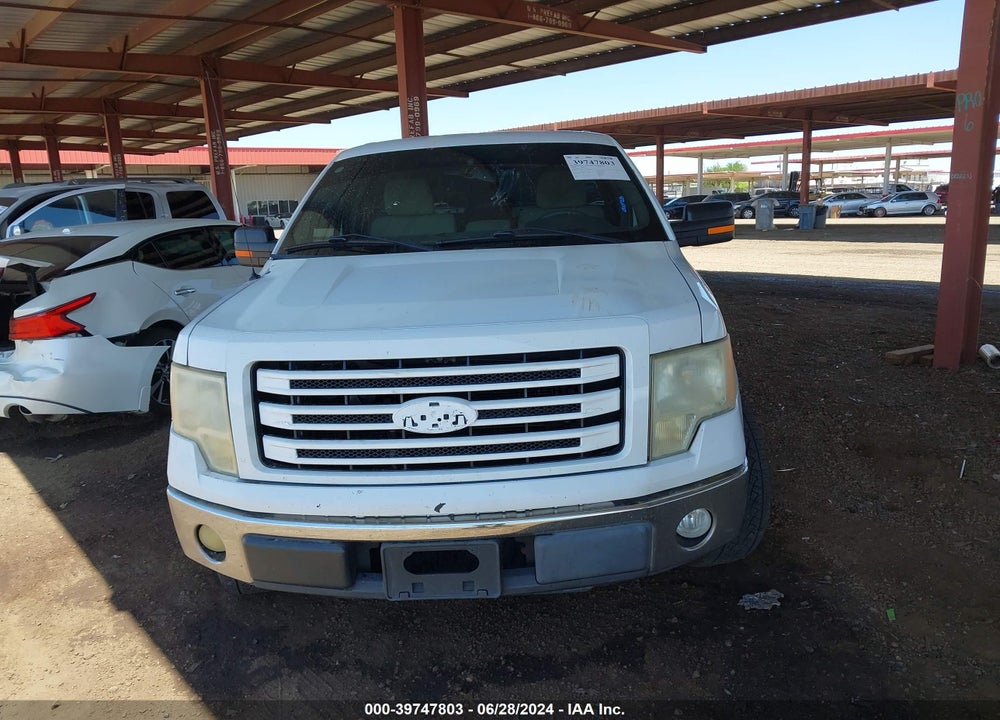 2010 FORD F-150 STX/XL/XLT VIN: 1FTMF1CW7AFC53224