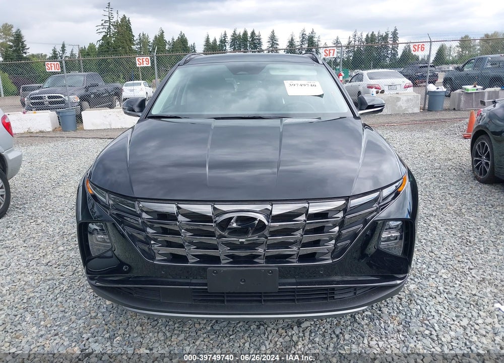 2024 HYUNDAI TUCSON LIMITED VIN: 5NMJECDEXRH303684