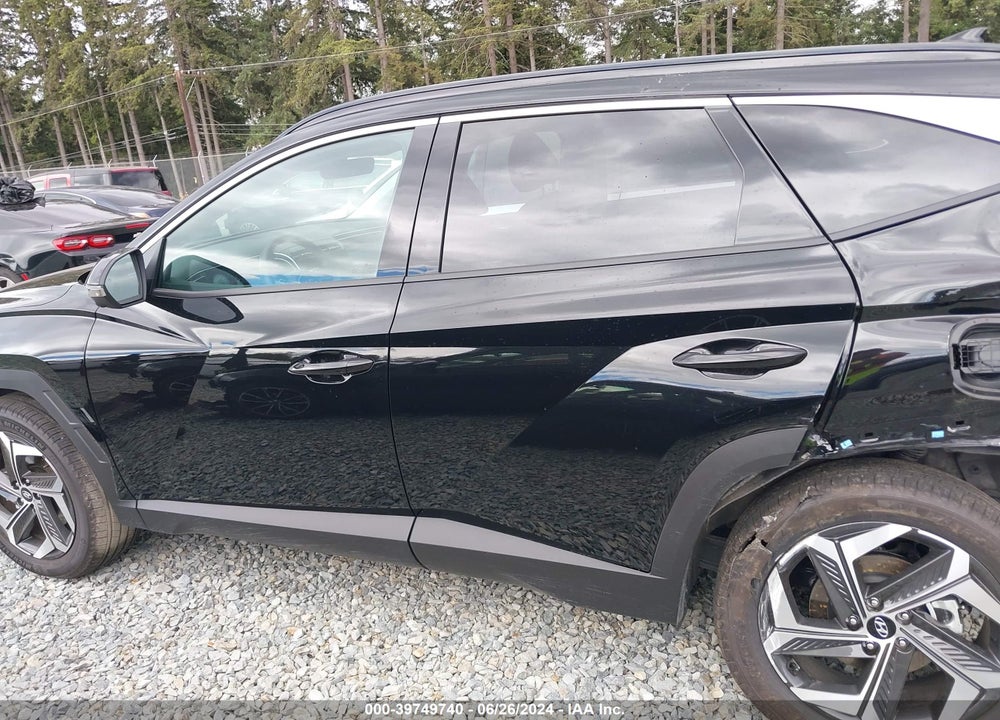 2024 HYUNDAI TUCSON LIMITED VIN: 5NMJECDEXRH303684