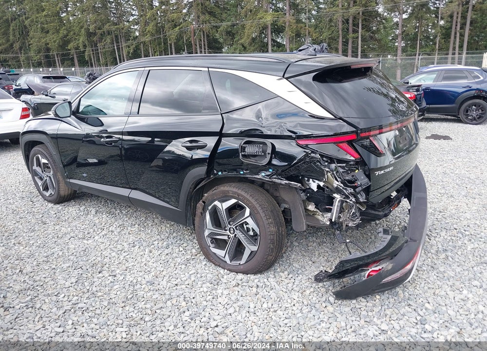 2024 HYUNDAI TUCSON LIMITED VIN: 5NMJECDEXRH303684