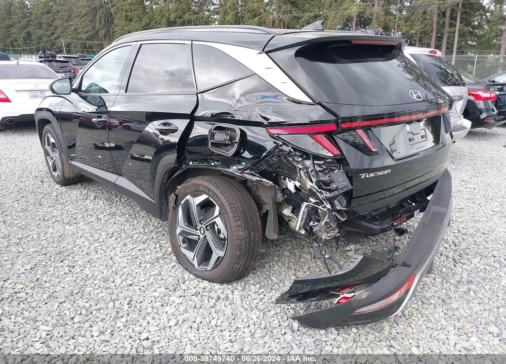 2024 HYUNDAI TUCSON LIMITED VIN: 5NMJECDEXRH303684