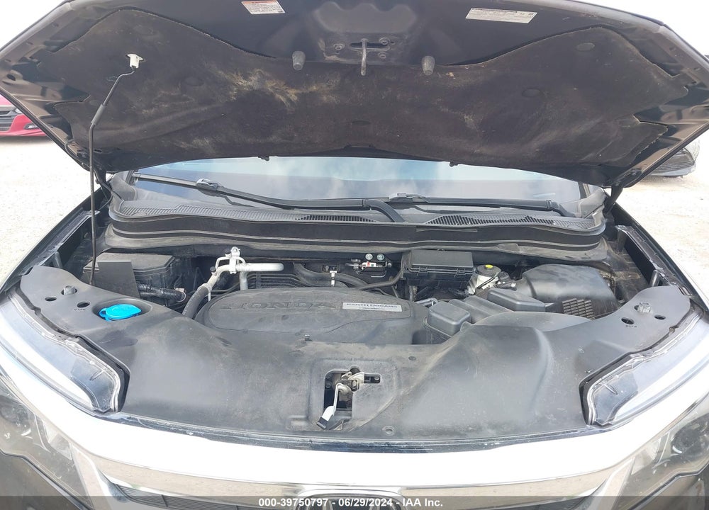 2019 HONDA PILOT EX-L VIN: 5FNYF5H59KB040001
