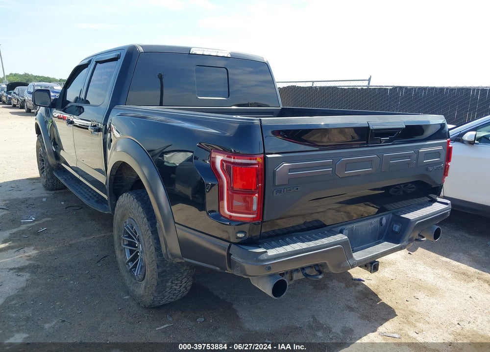 2019 FORD F-150 RAPTOR VIN: 1FTFW1RG9KFC96294