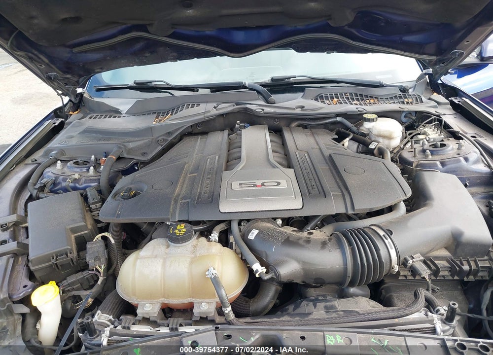2019 FORD MUSTANG GT VIN: 1FA6P8CFXK5132876