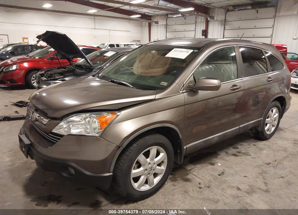 2009 HONDA CR-V EX-L VIN: 5J6RE48769L017425