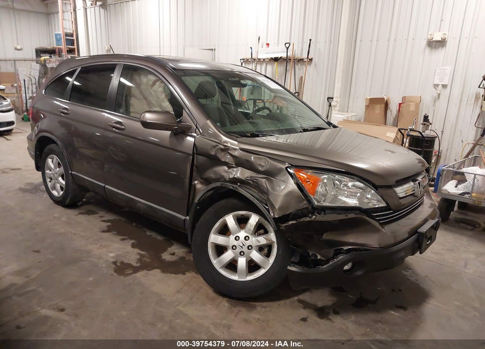 2009 HONDA CR-V EX-L VIN: 5J6RE48769L017425