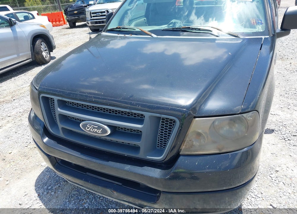 2004 FORD F-150 STX/XL/XLT VIN: 1FTRX12W74NC06225