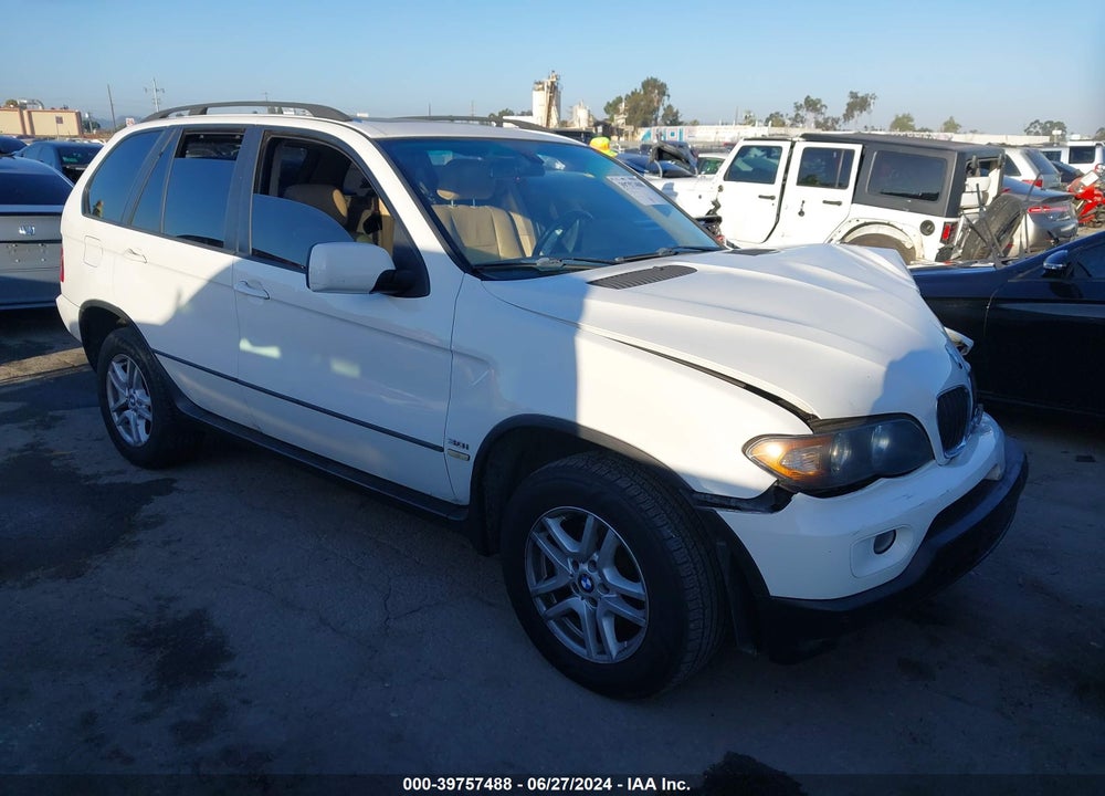 2006 BMW X5 3.0I VIN: 5UXFA13516LY46907