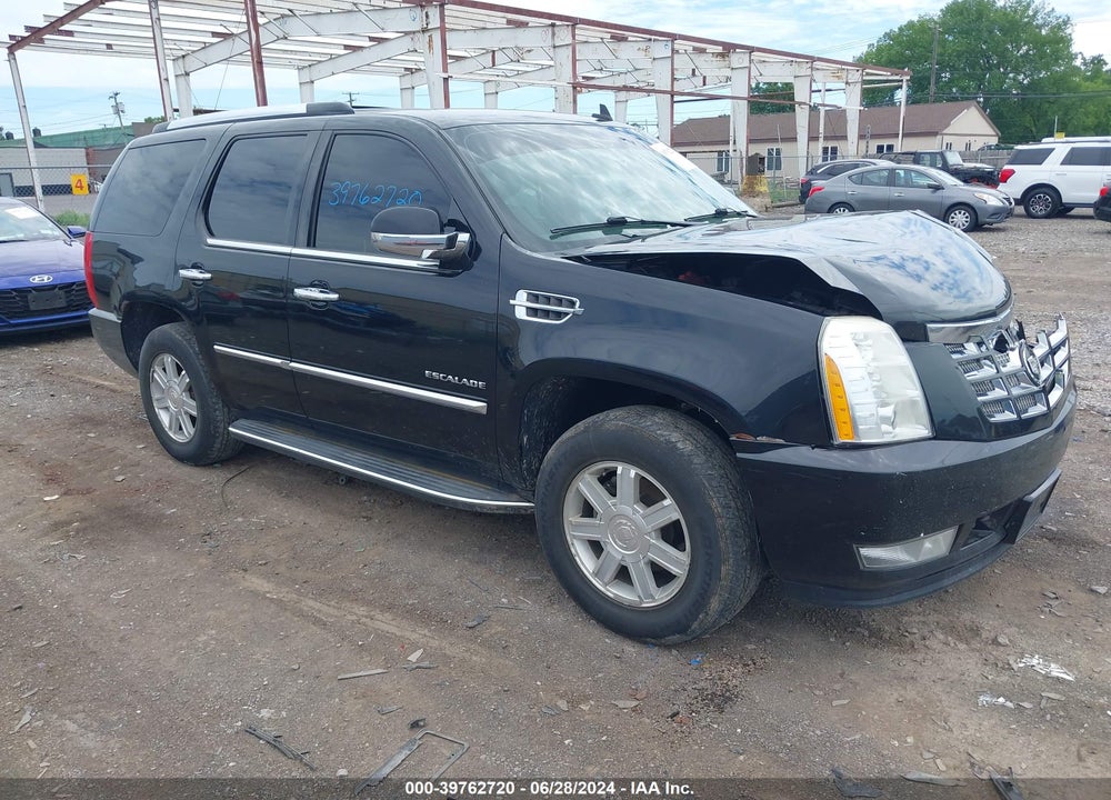 2010 CADILLAC ESCALADE STANDARD VIN: 1GYUKAEF4AR102228