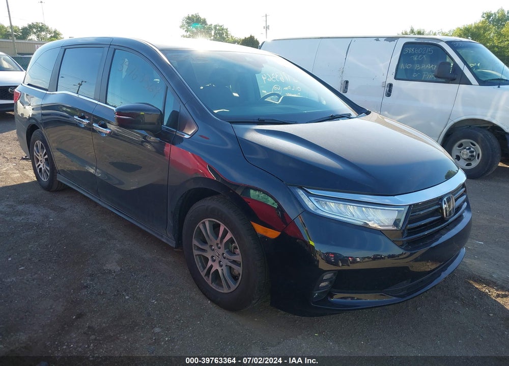 2024 HONDA ODYSSEY EX-L VIN: 5FNRL6H64RB042454