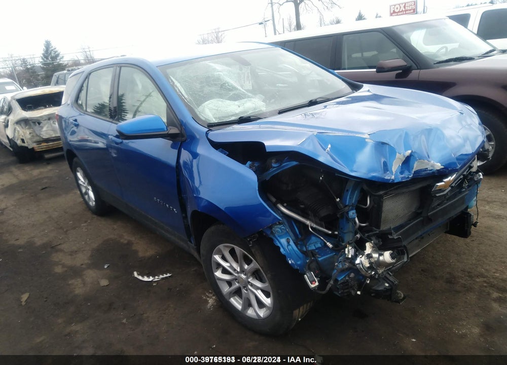 2019 CHEVROLET EQUINOX LS VIN: 3GNAXHEV3KS599871