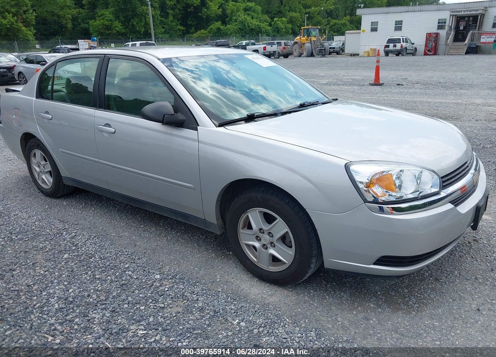2004 CHEVROLET MALIBU LS VIN: 1G1ZT54824F114721