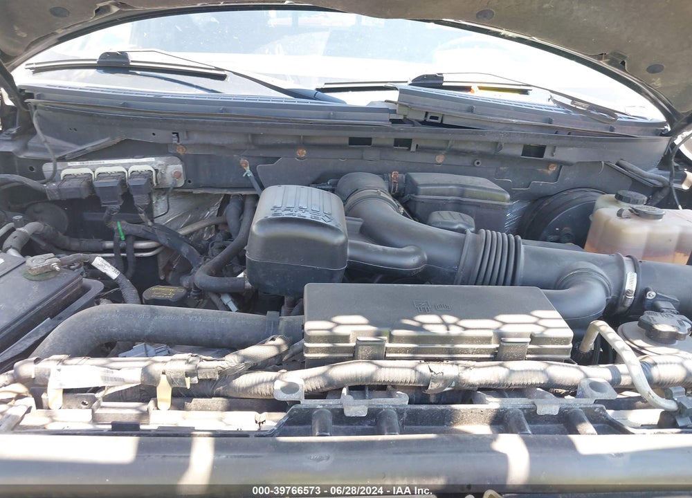2009 FORD F-150 FX4 VIN: 1FTPX14VX9FB47068