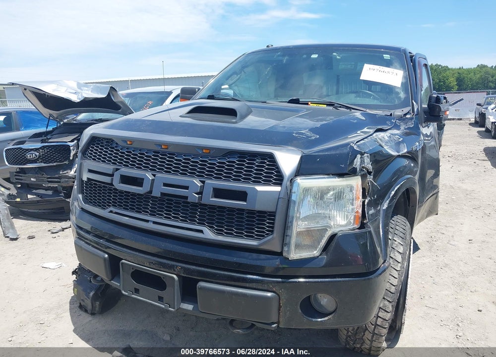 2009 FORD F-150 FX4 VIN: 1FTPX14VX9FB47068