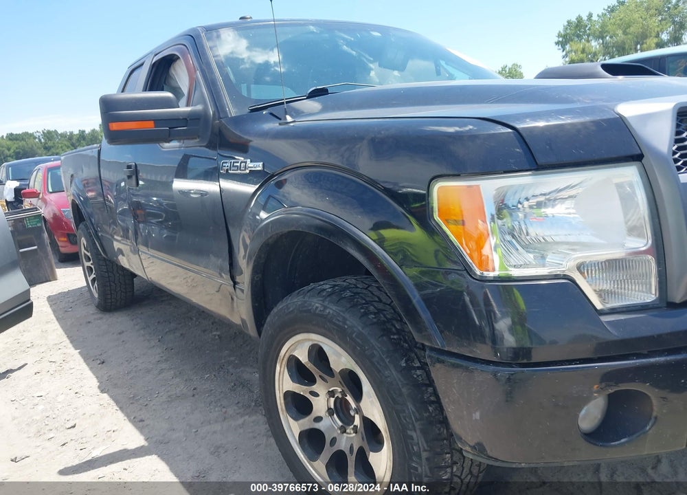 2009 FORD F-150 FX4 VIN: 1FTPX14VX9FB47068