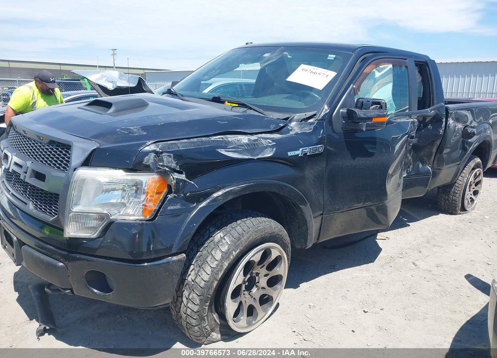 2009 FORD F-150 FX4 VIN: 1FTPX14VX9FB47068
