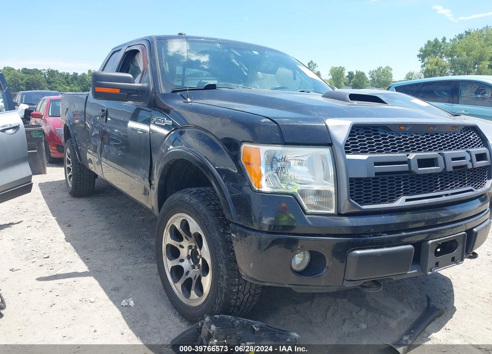 2009 FORD F-150 FX4 VIN: 1FTPX14VX9FB47068