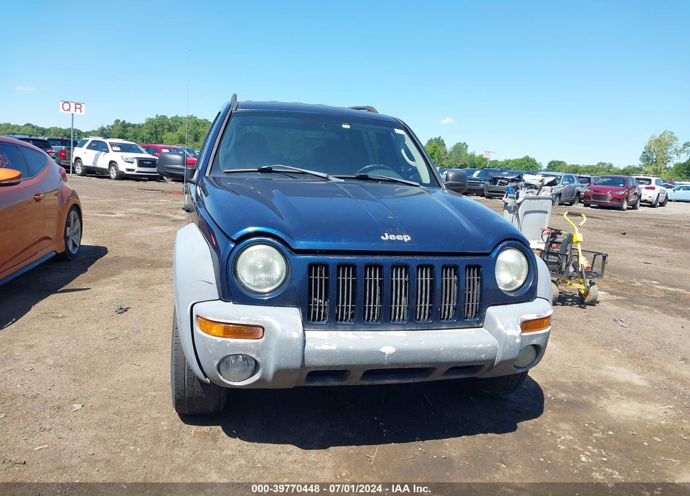 2003 JEEP LIBERTY SPORT VIN: 1J4GL48K73W507363